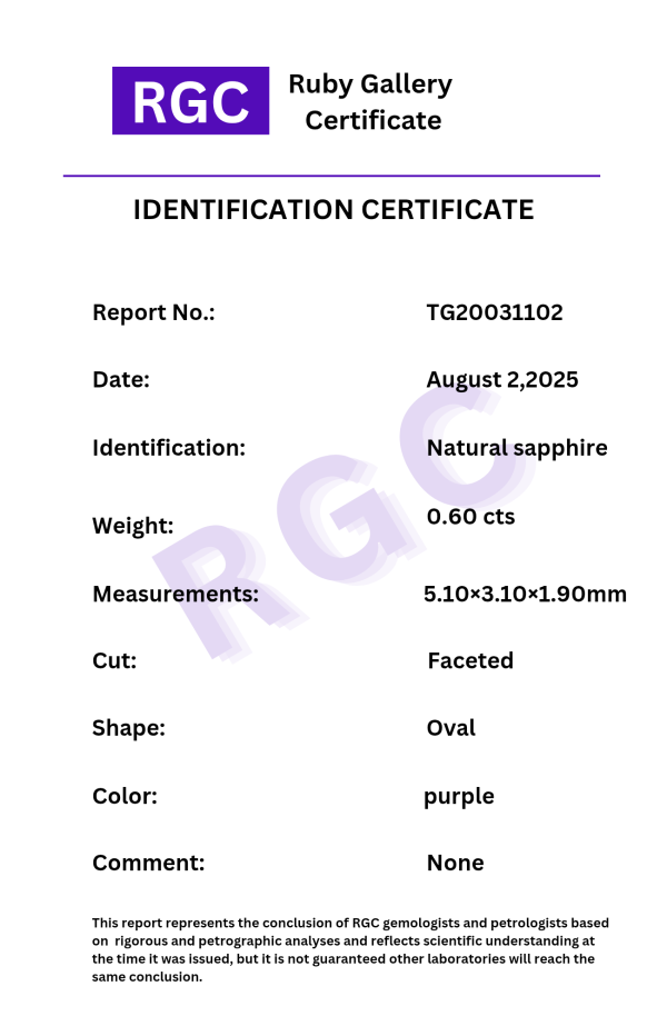 TG20031102 - تصویر 2