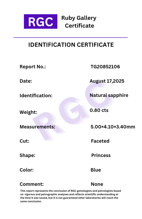 TG20852106 - تصویر 3
