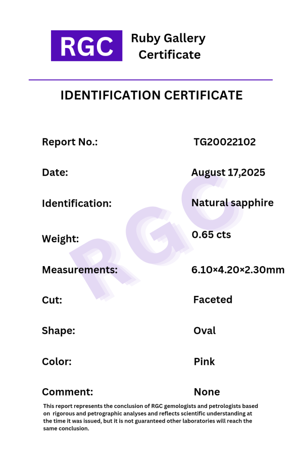 TG20022102 - تصویر 3